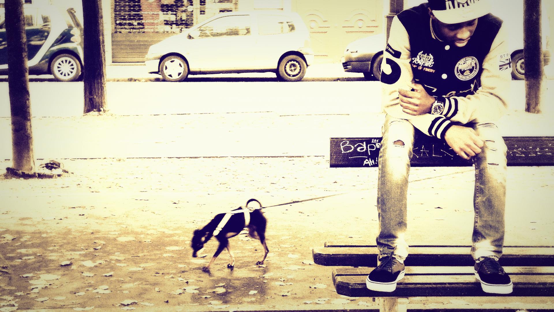 Lau… ParkBench
