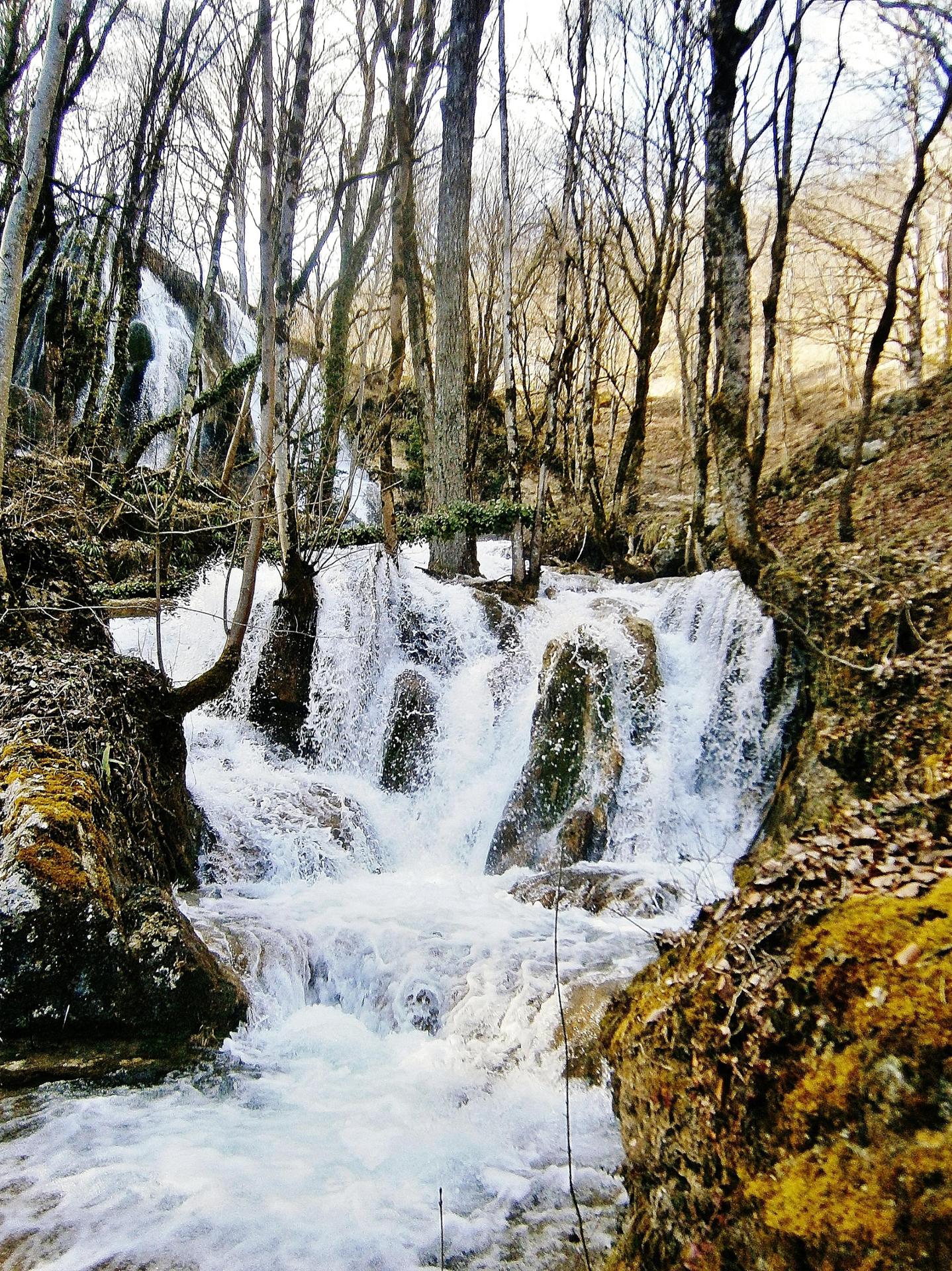 P3100026