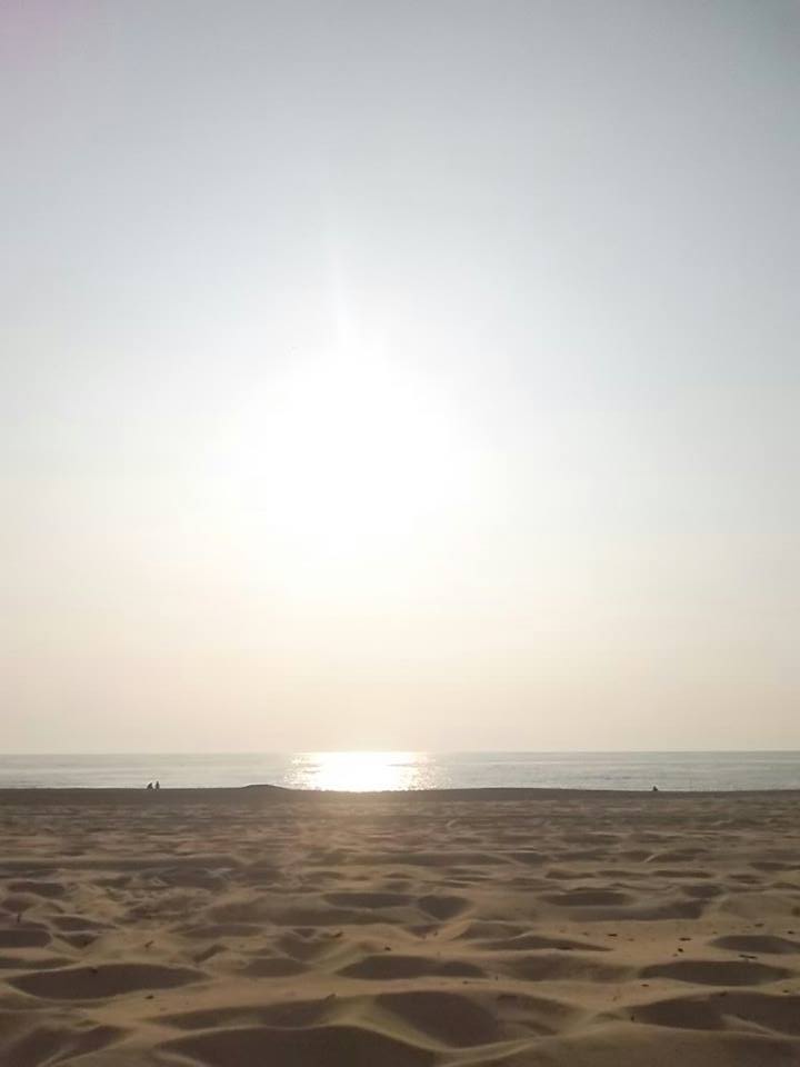 all sun