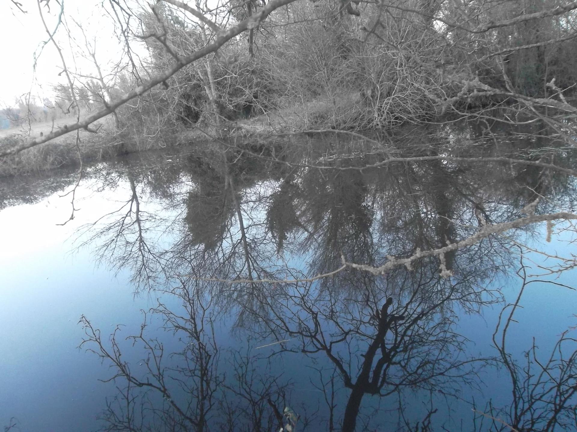 grau blau