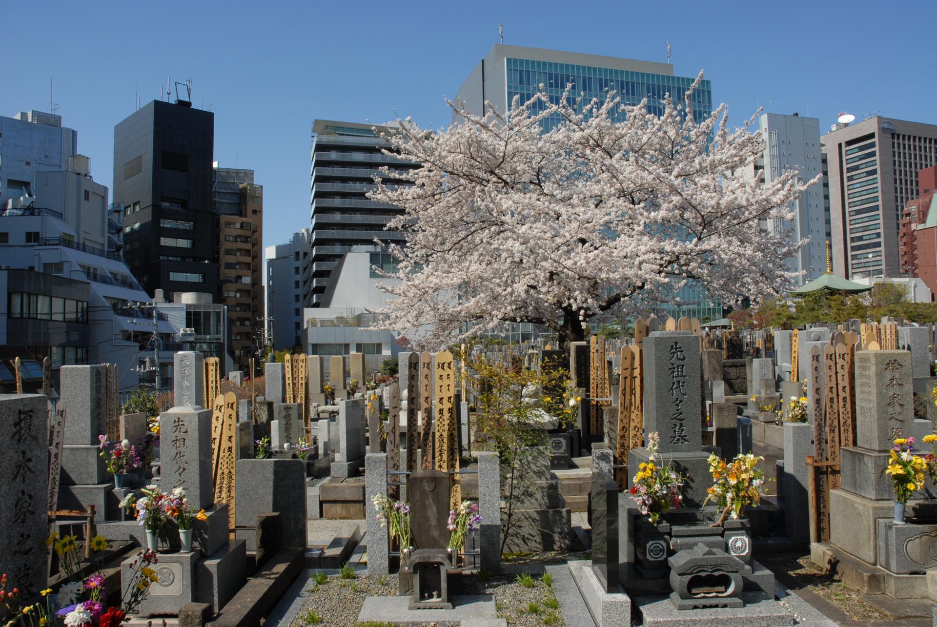 Tokyo-Sanctuaire du Baisoin (1)
