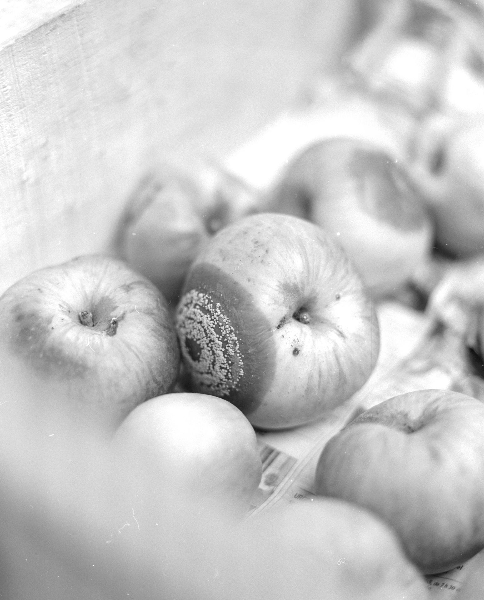 devenir Serein (série) _ cible