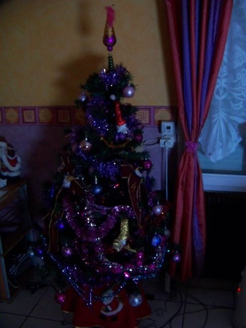 155882_182792261736804_6360986_n