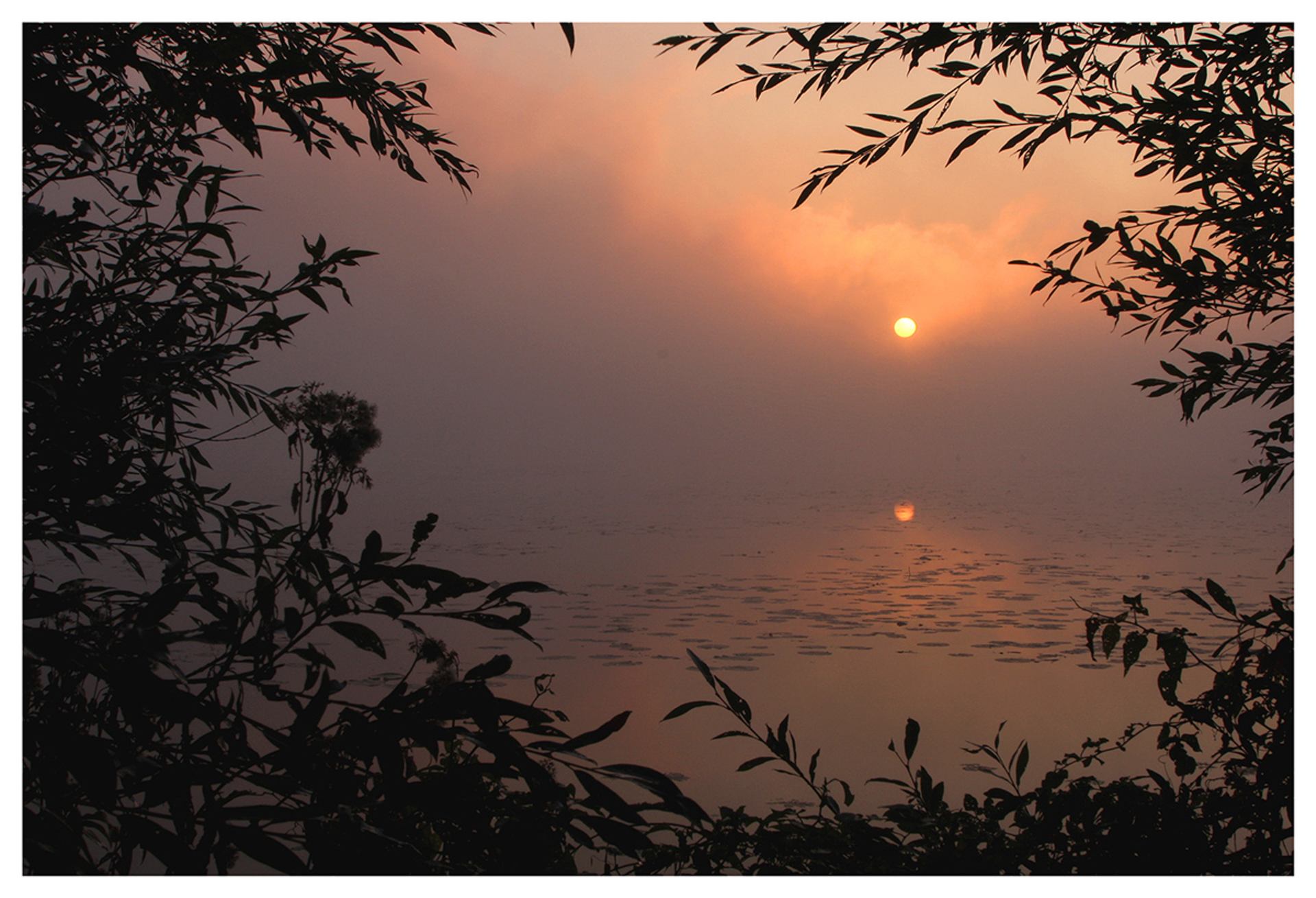 Fenêtre sur l'étang 1