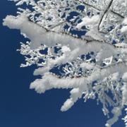 Classement final : 686