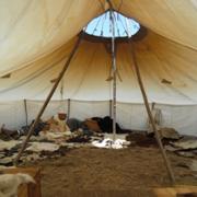 Classement final : 55