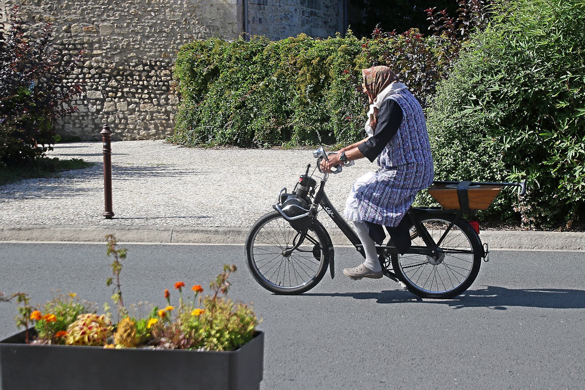 le solex