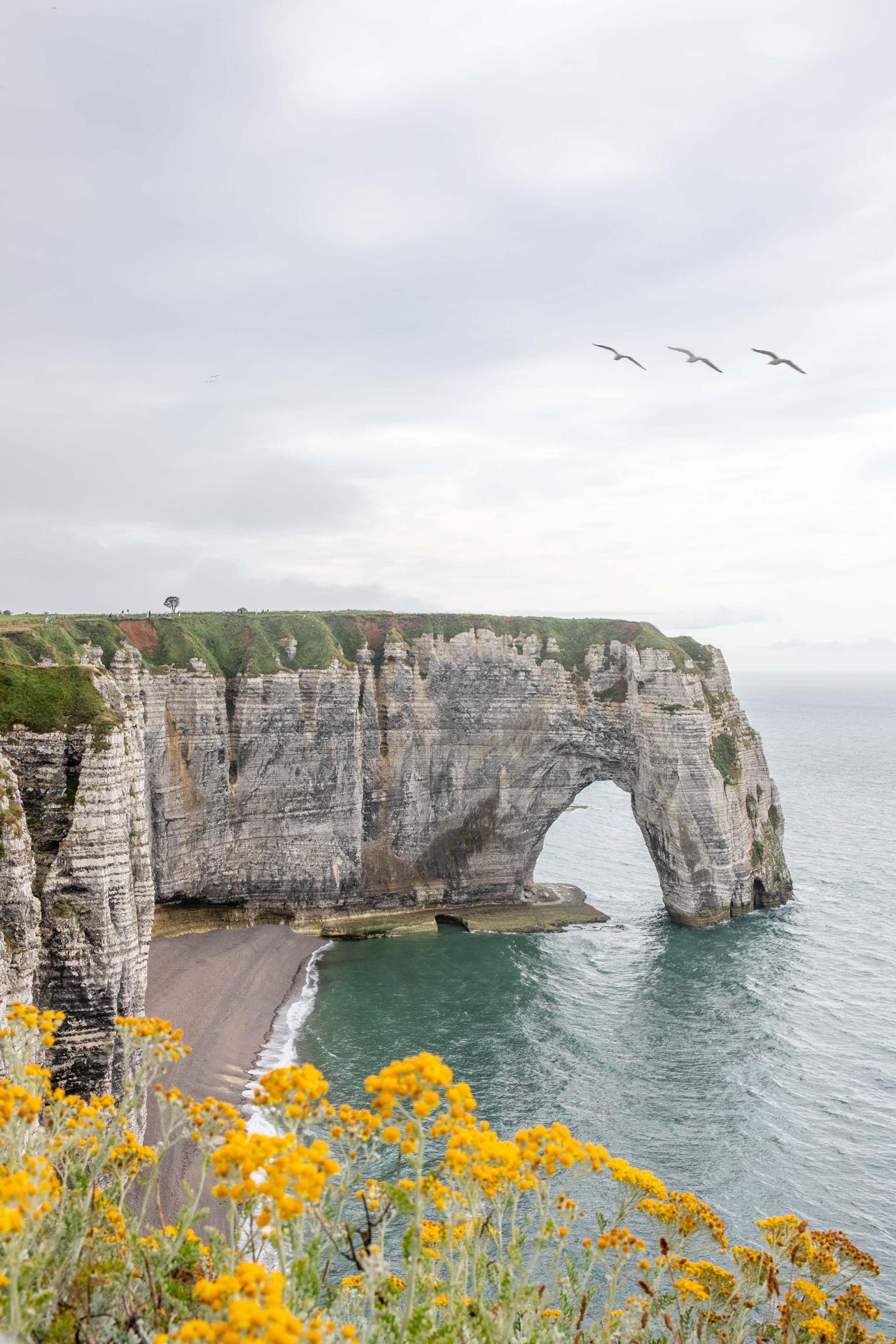 Côte d'Albâtre