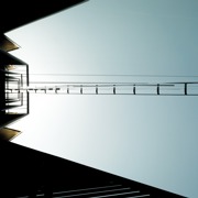 Classement final : 1196