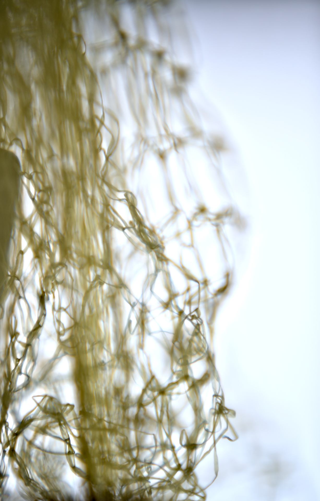 Plastique close up. Nikkor af 85mm 1.8D