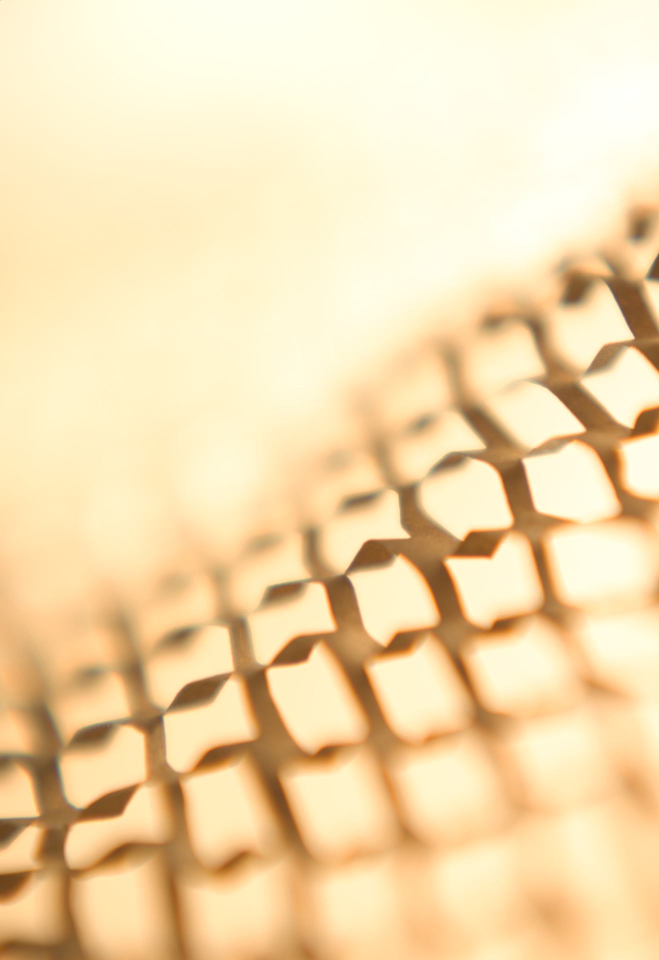 Paper love to the close up. Nikkor af 85mm 1.8D