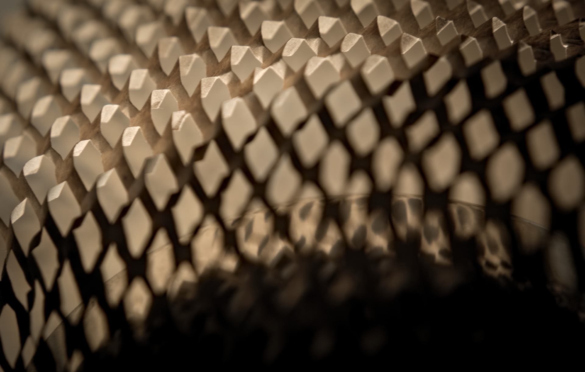 Paper love to the close up. Nikkor af 85mm 1.8D