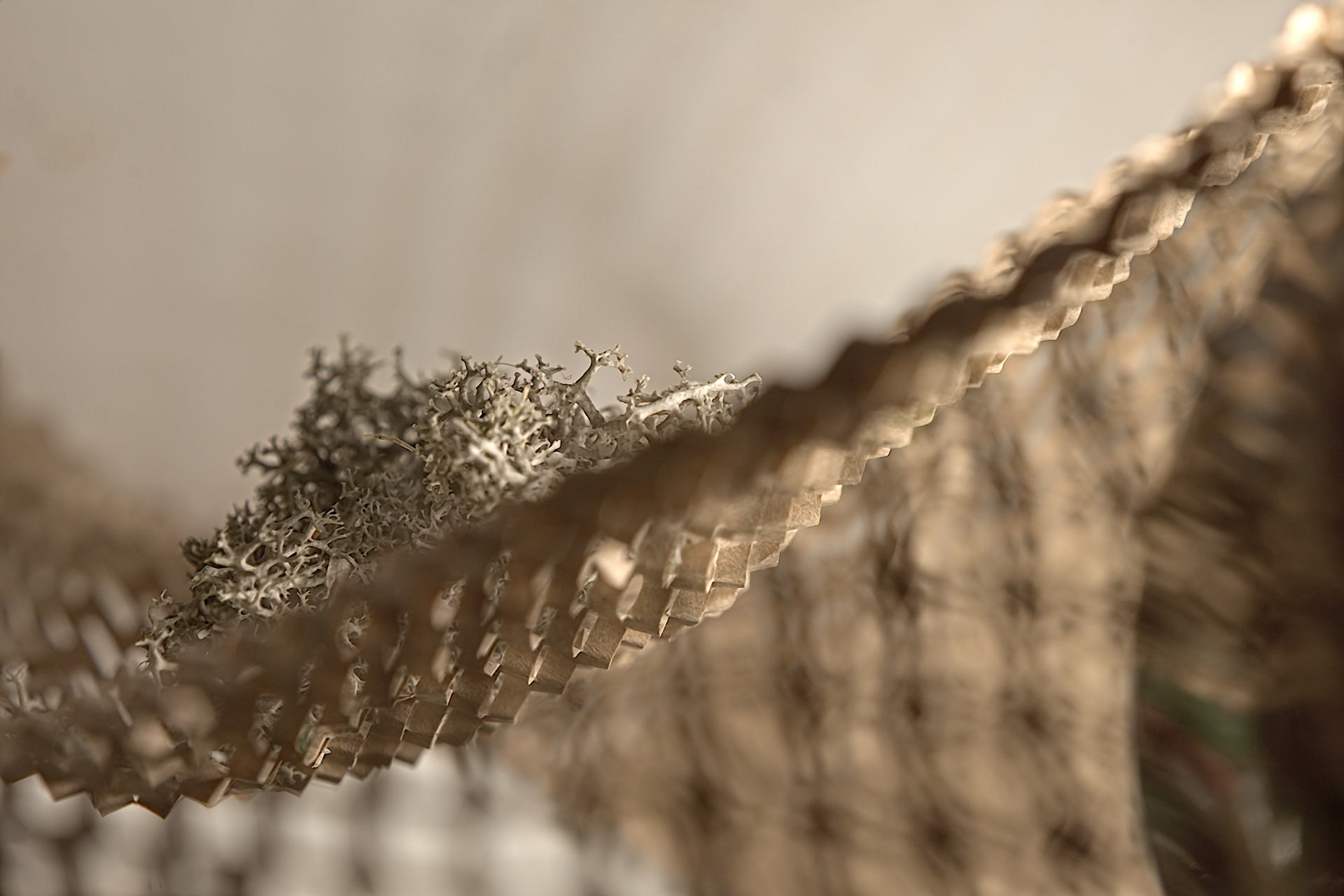 Paper love to the close up. Nikkor af 85mm 1.8D