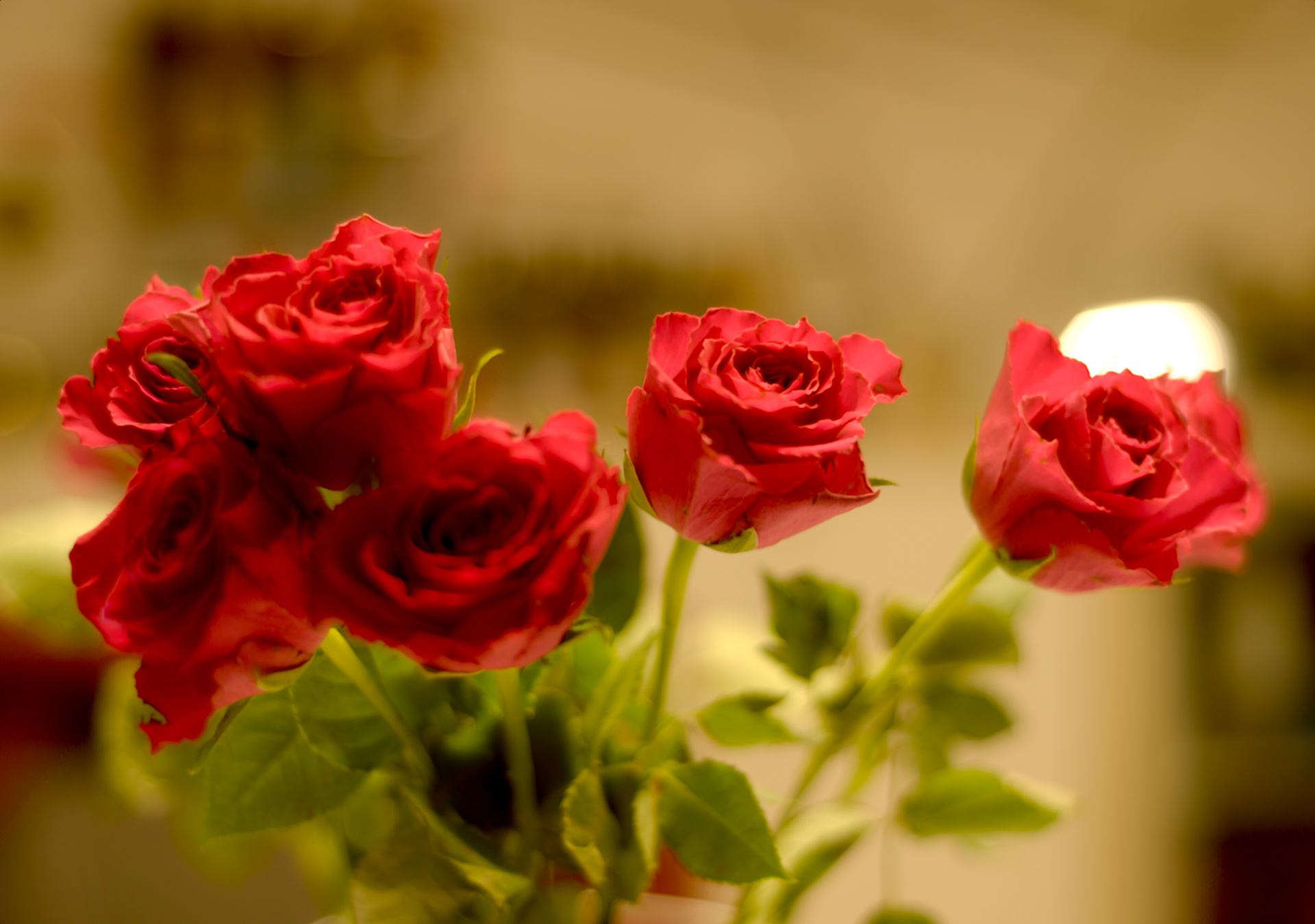 Un peut de poésie pour changer.