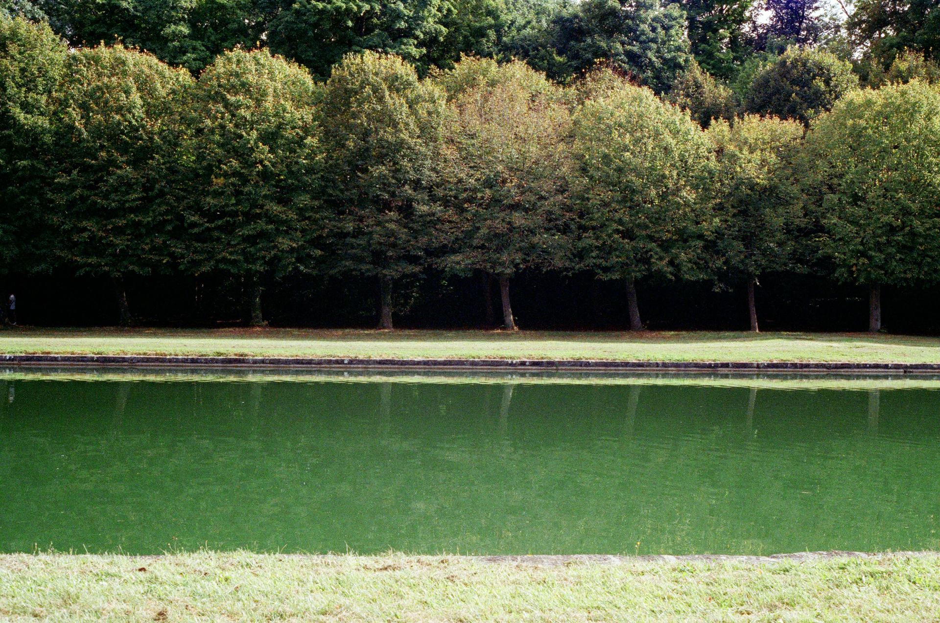 Fin de l'été au Parc de Sceaux 