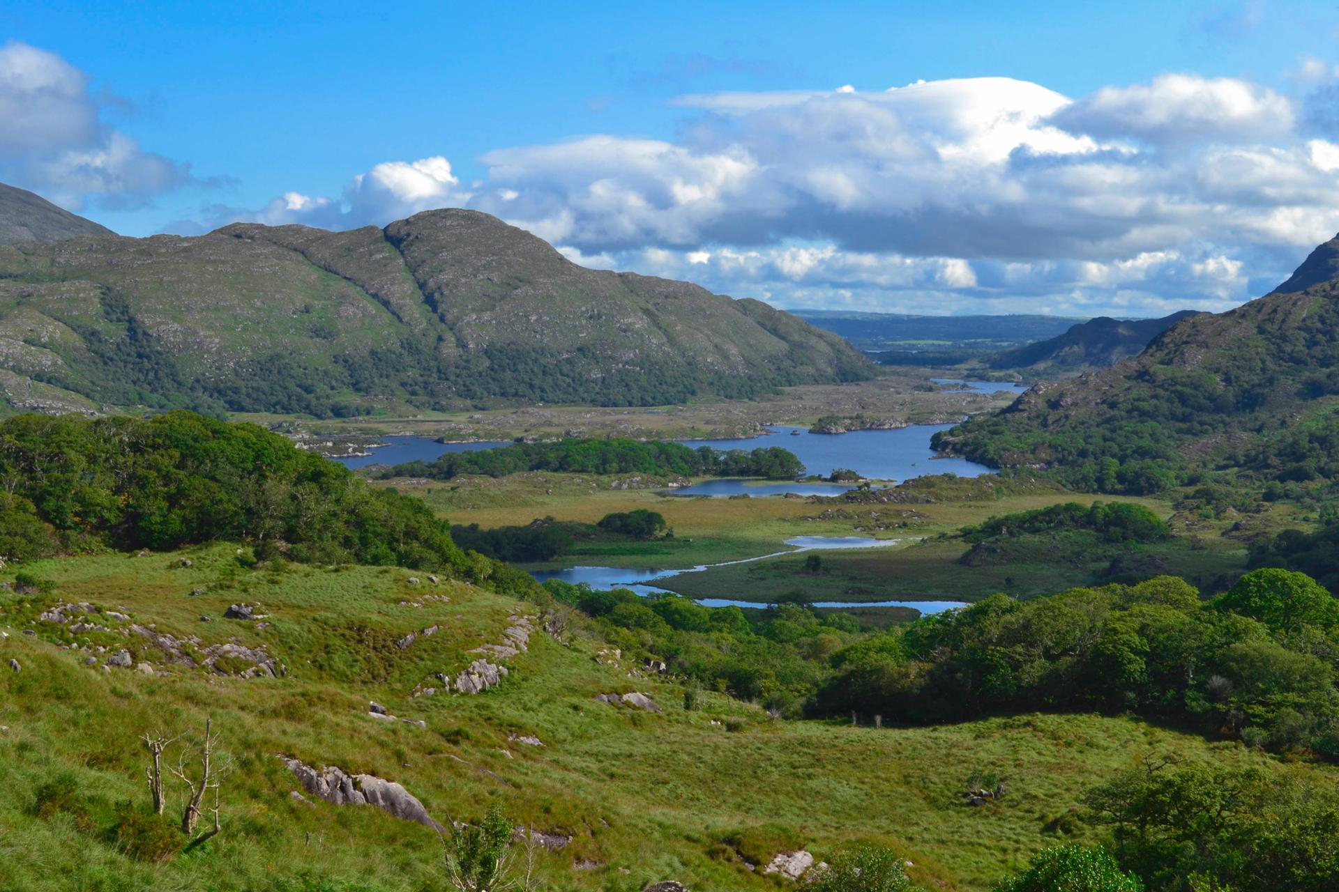 Campagne irlandaise