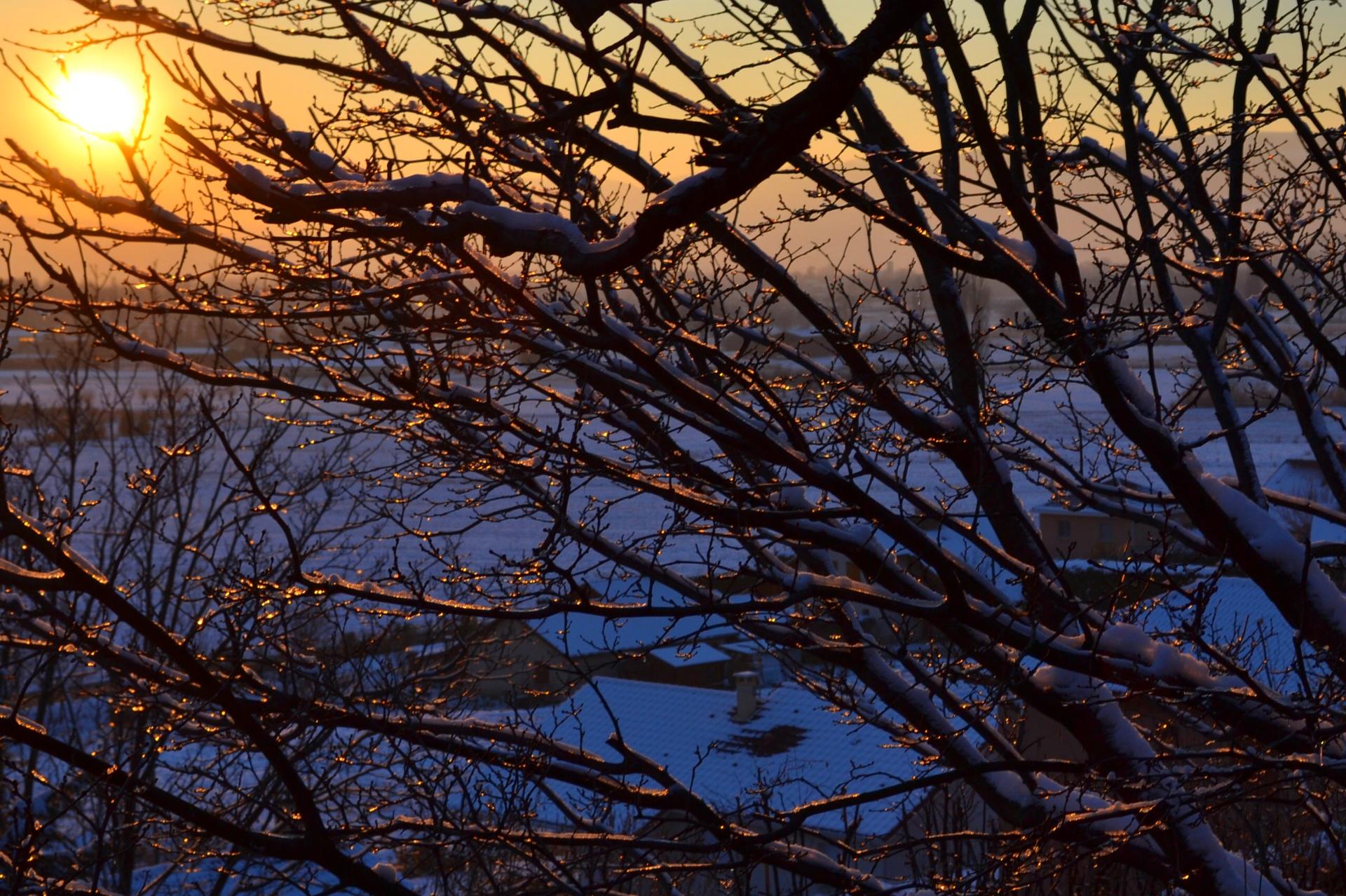 Le temps d'un hiver