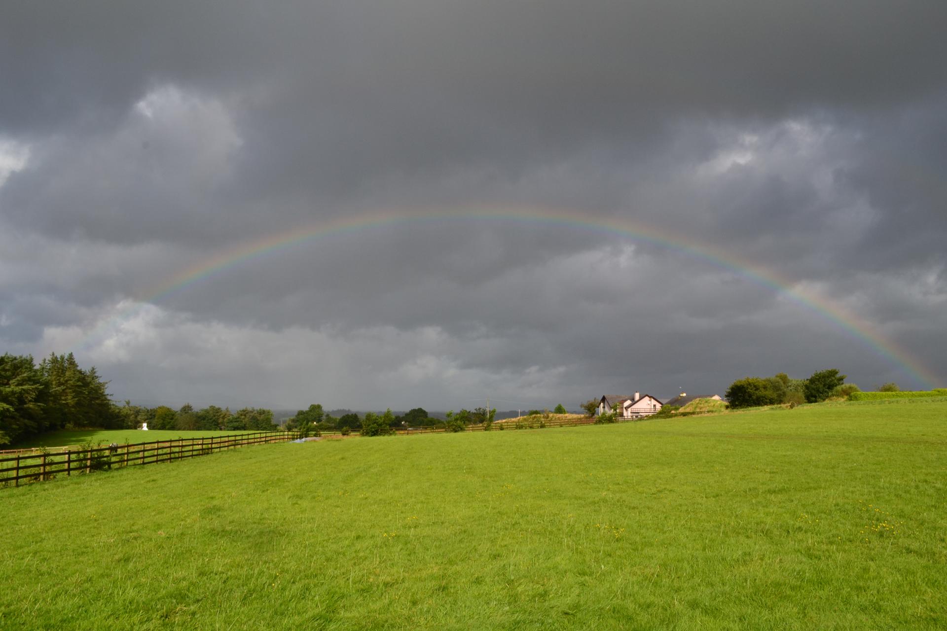 Campagne irlandaise après la pluie