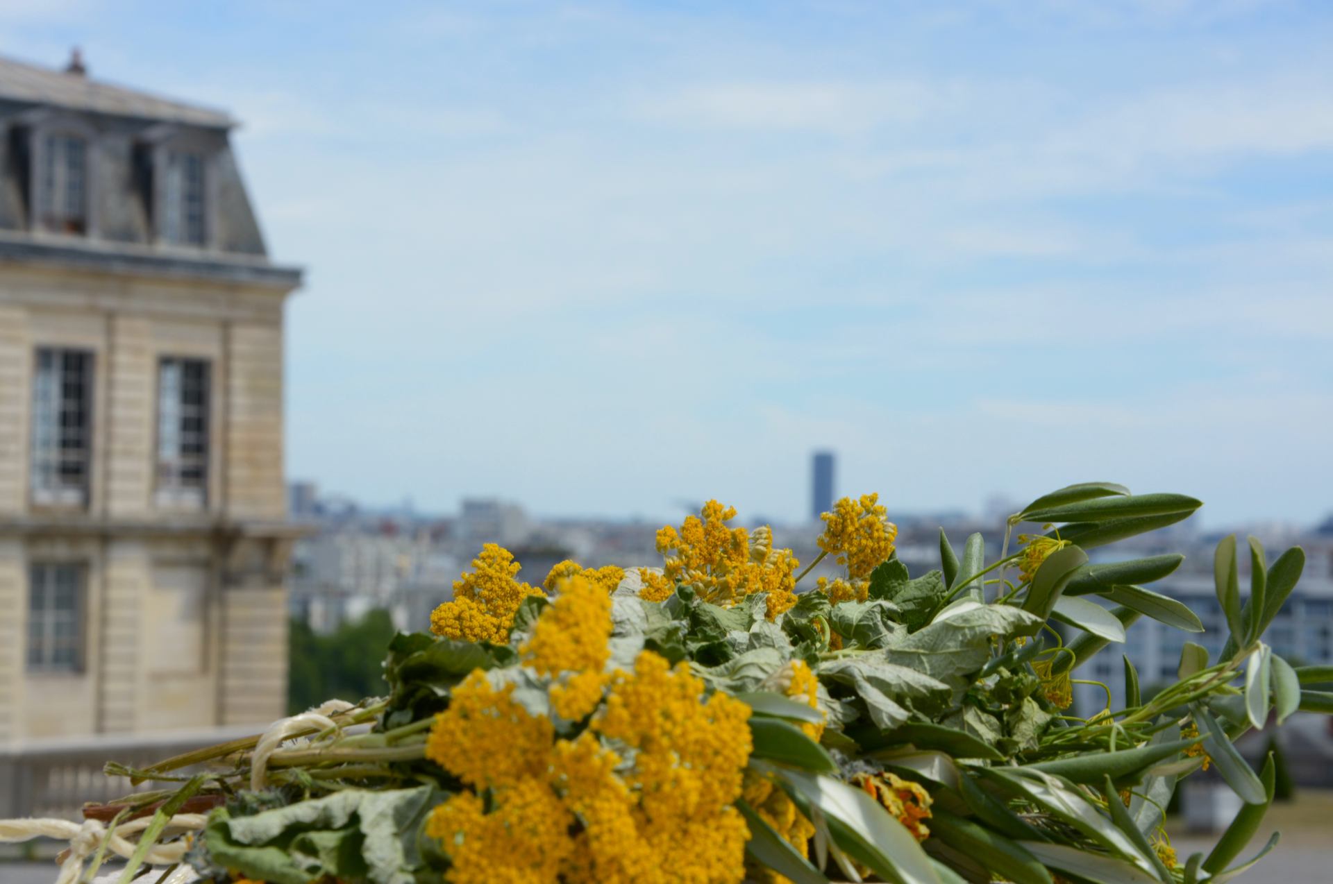 3 Bouquet.JPG