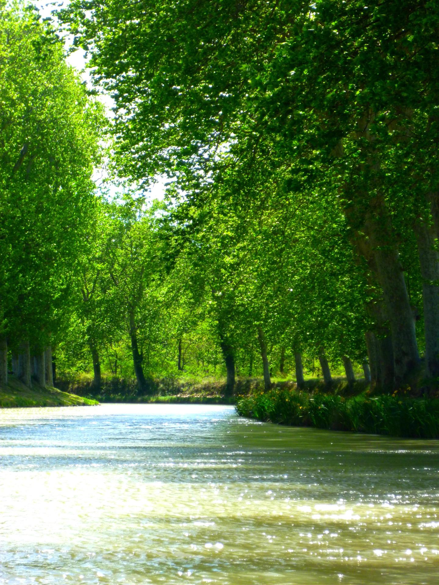 Canal du Midi