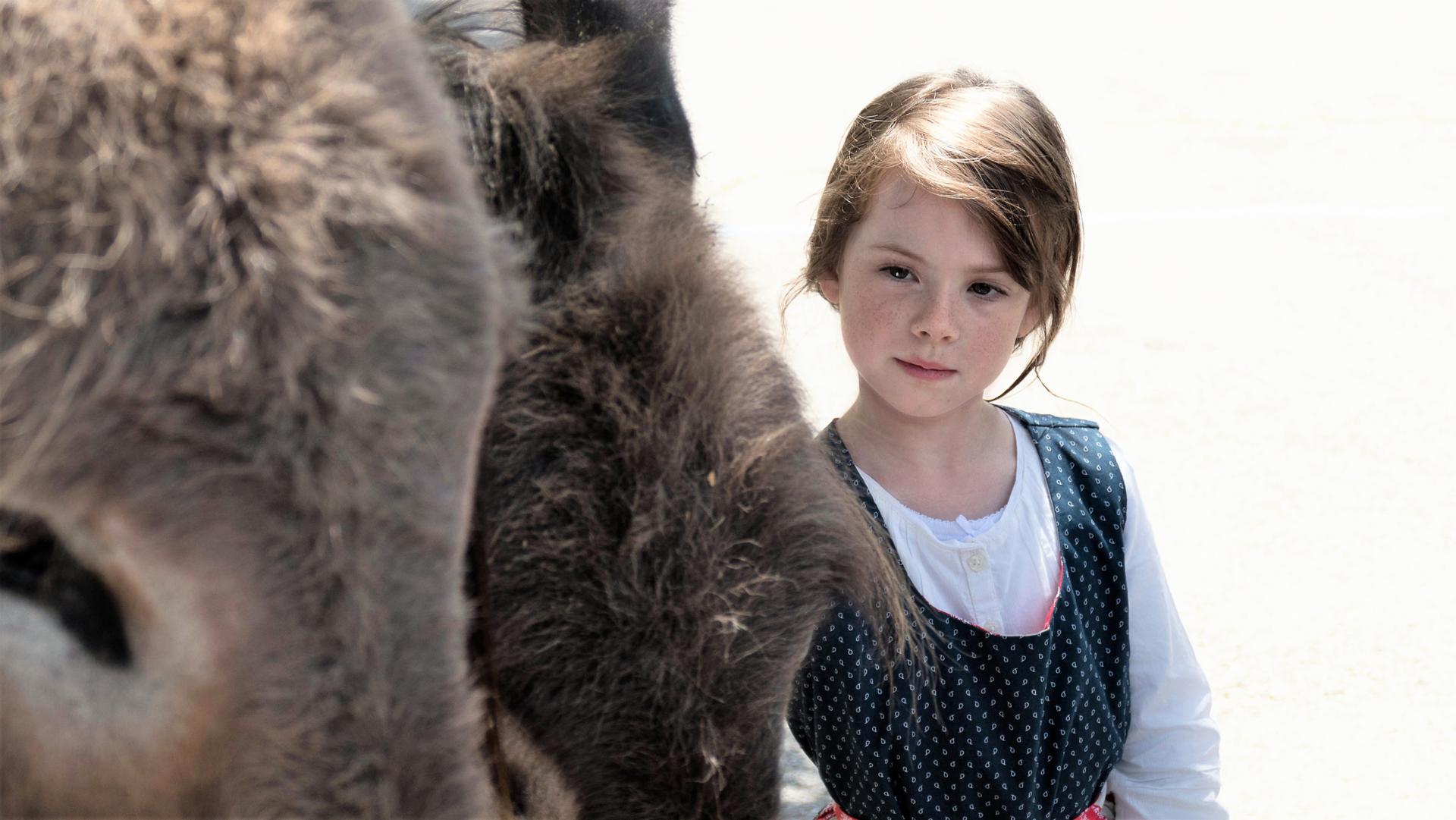 La pichoto is ase ( La petite filles aux ânes)