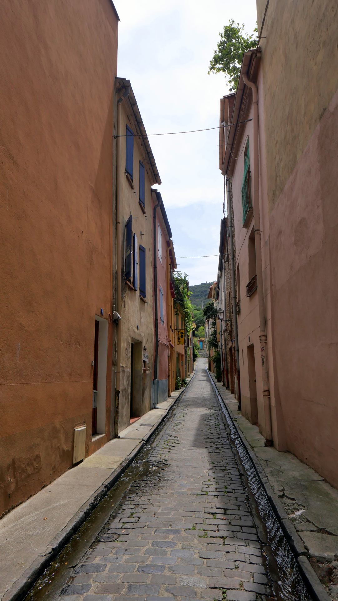 L1008897.JPG
