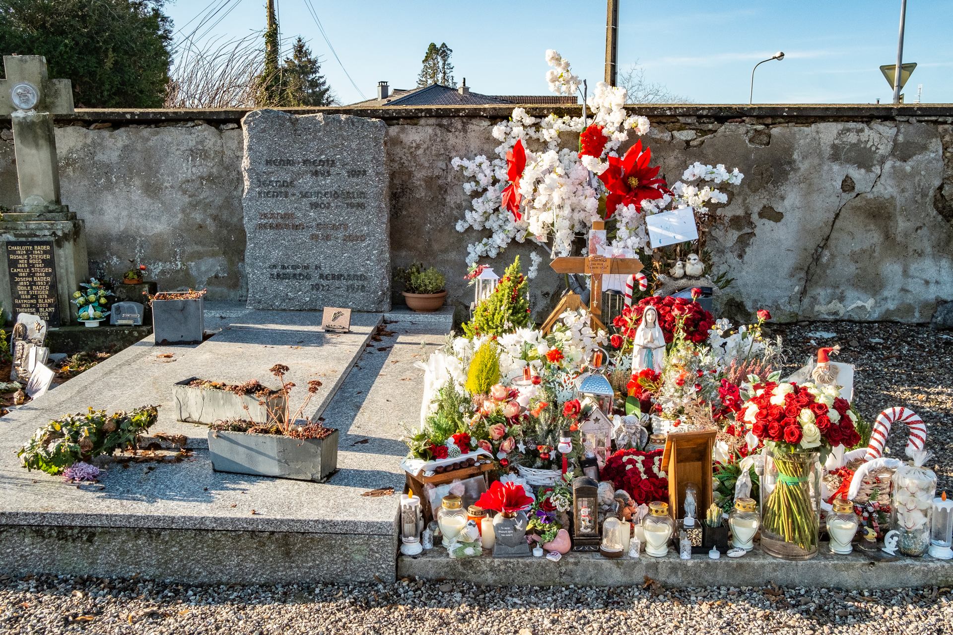 xPATRICK LAMBIN_DSCF4860.jpg