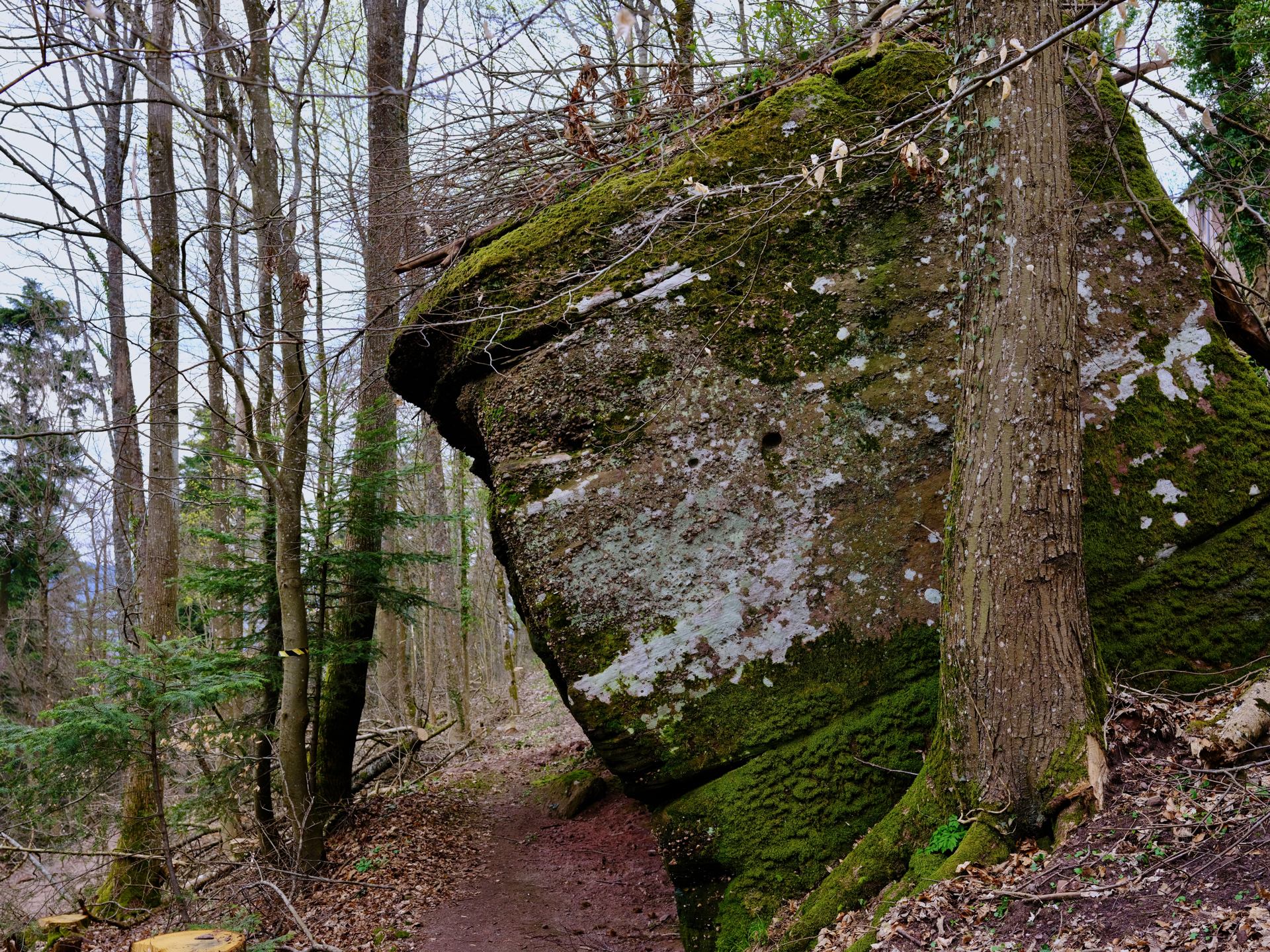 Enregistrées récemment - 1 sur 1 (11).jpeg