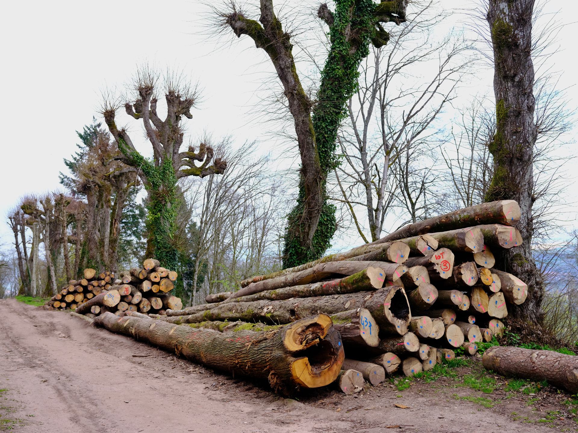 Enregistrées récemment - 1 sur 1 (10).jpeg