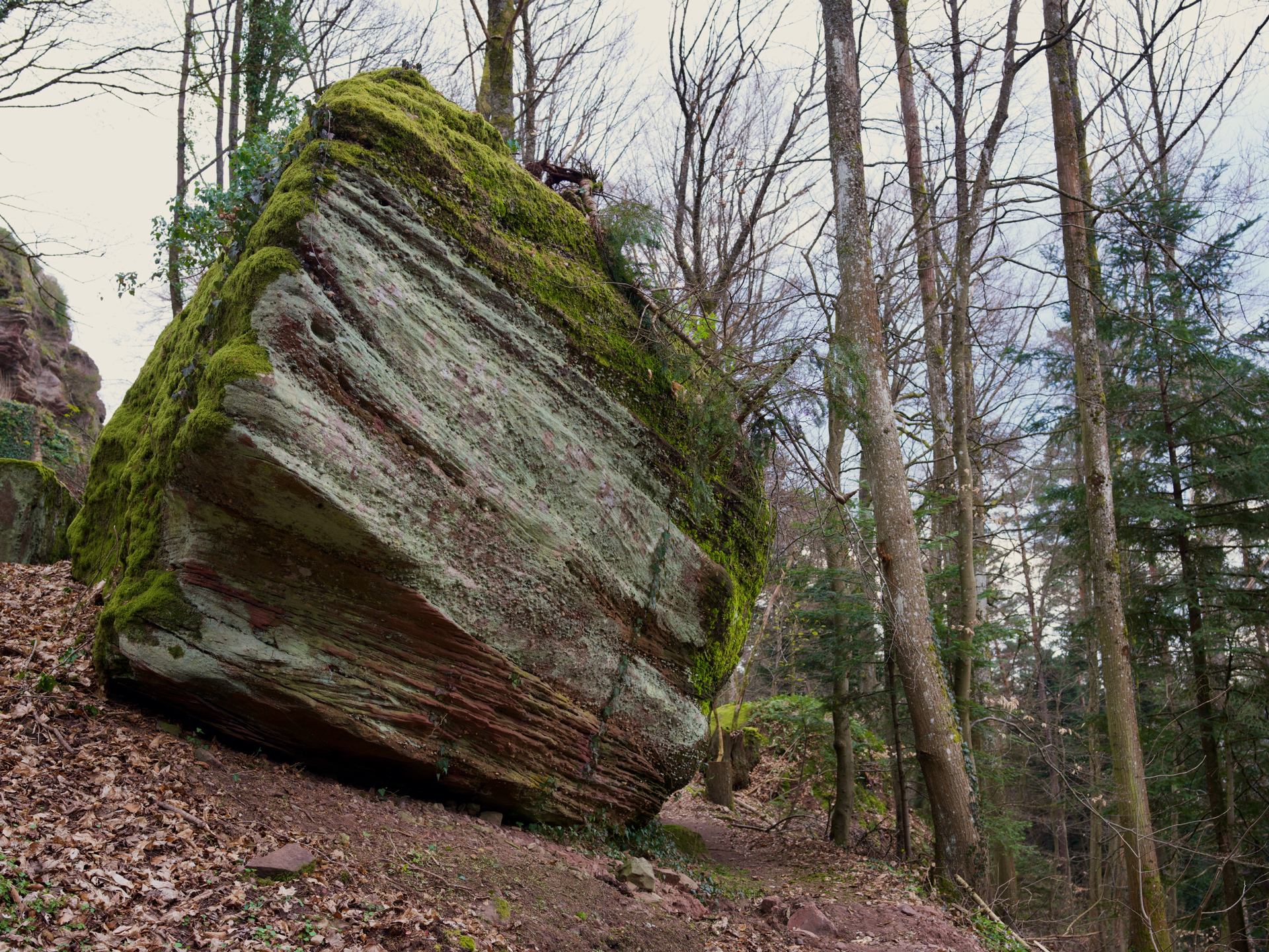 Enregistrées récemment - 1 sur 1 (30).jpeg