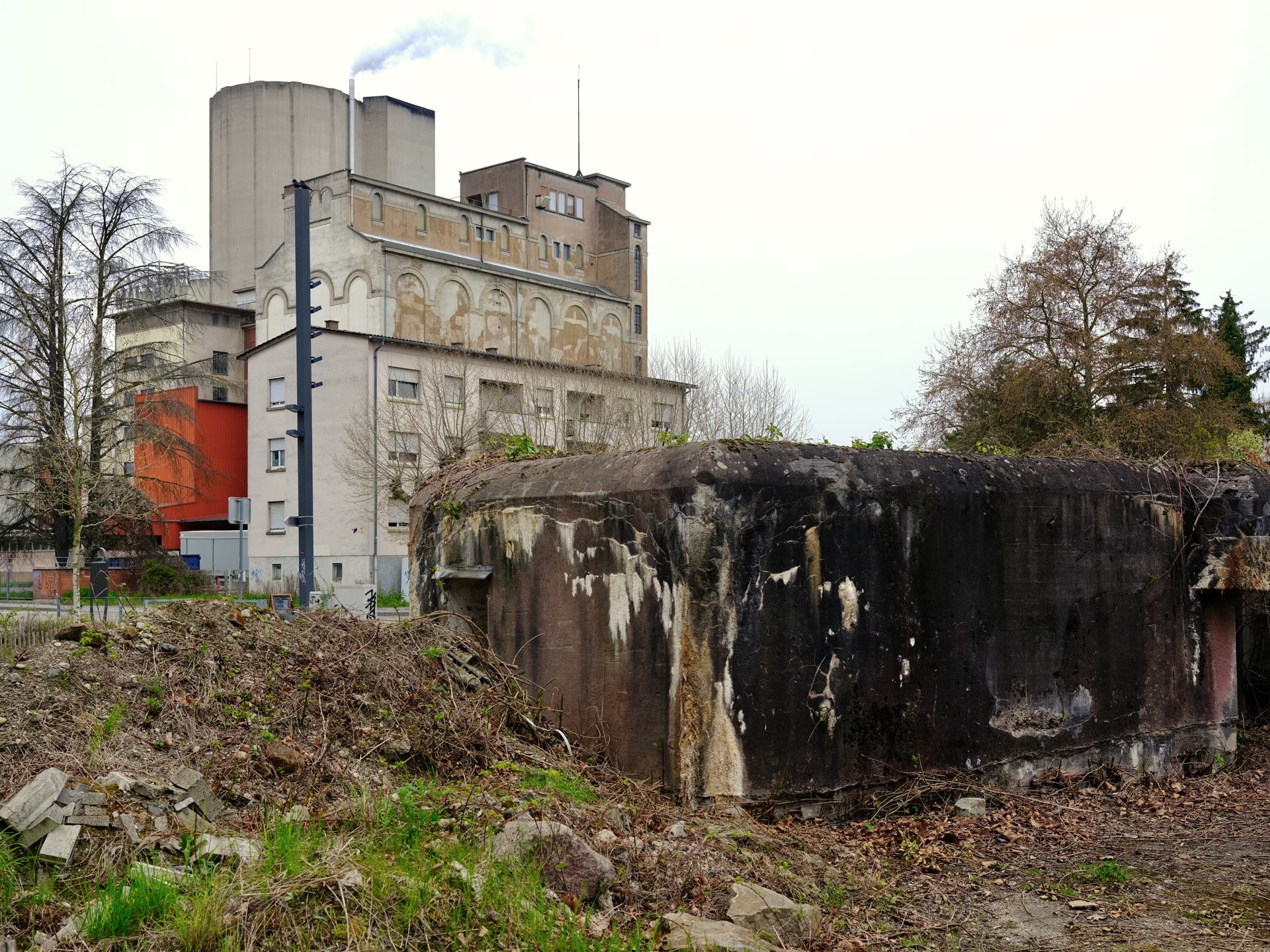 Enregistrées récemment - 1 sur 1 (49).jpeg