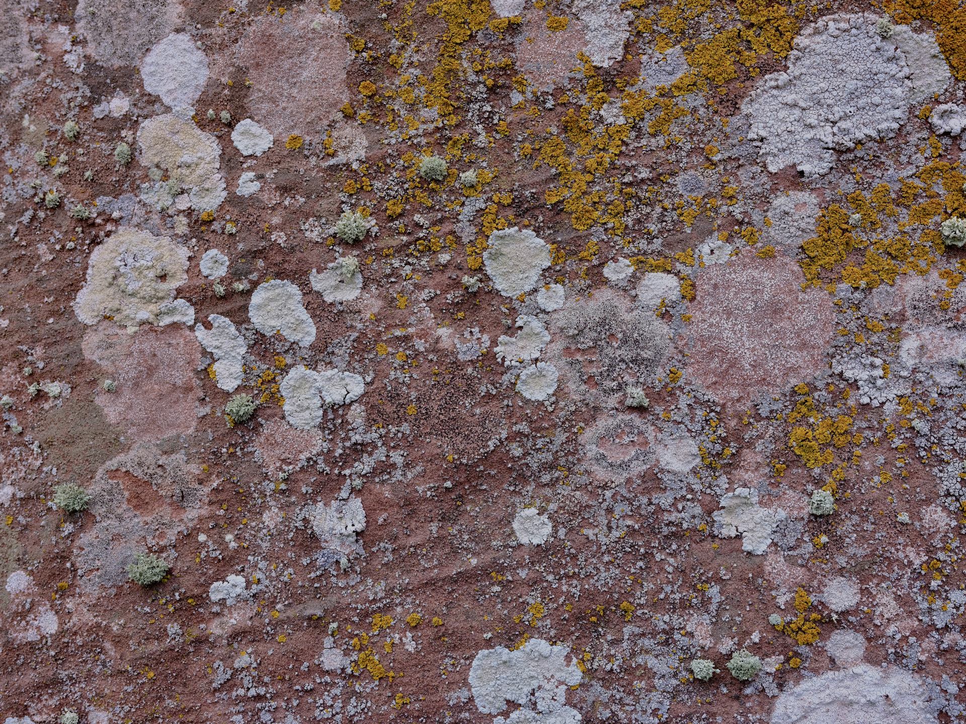 Enregistrées récemment - 1 sur 1 (20).jpeg