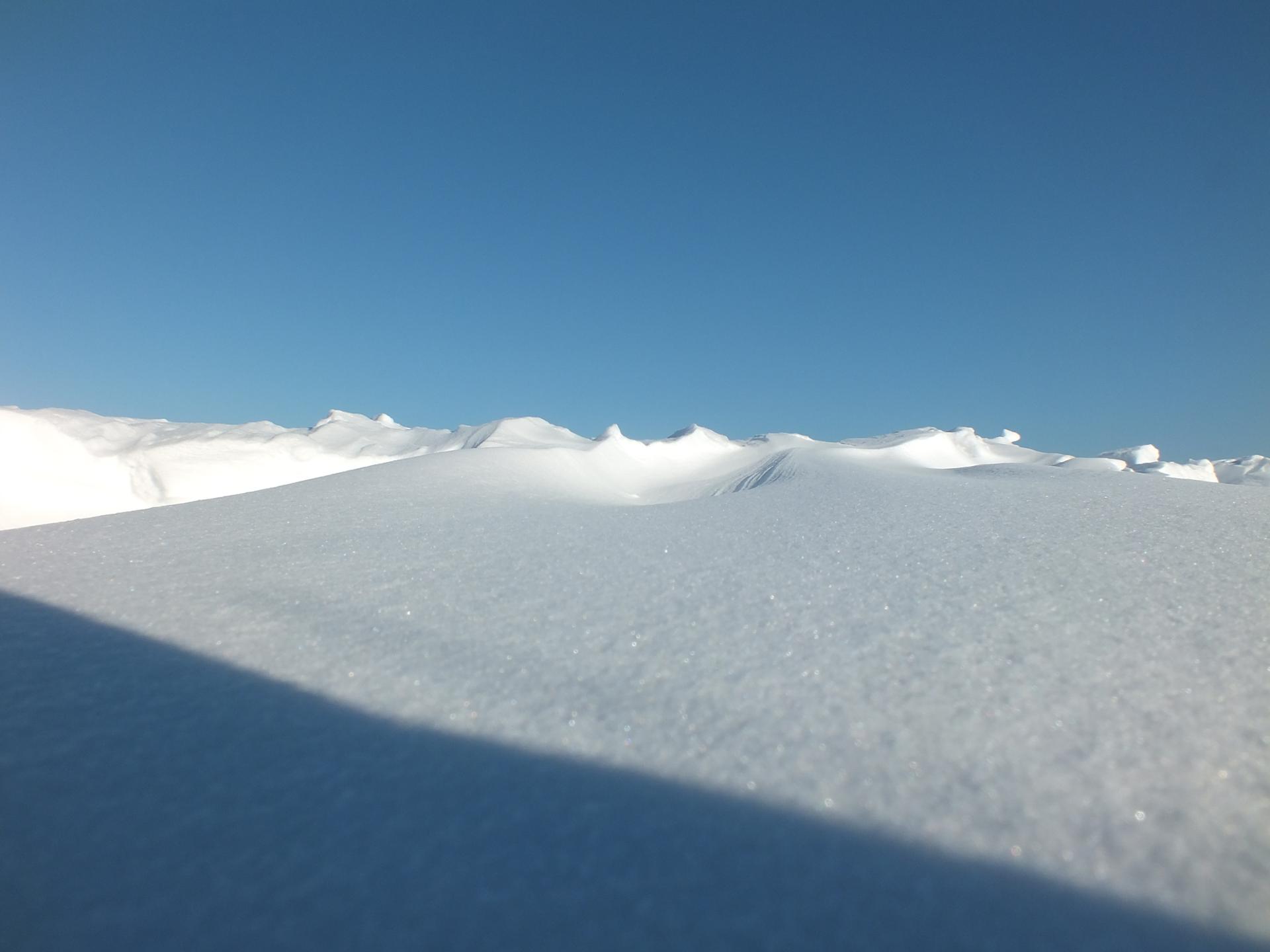 Montagne amanvilloise
