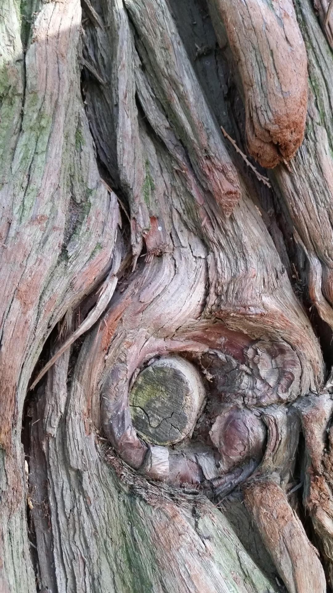 La nature à l'oeil