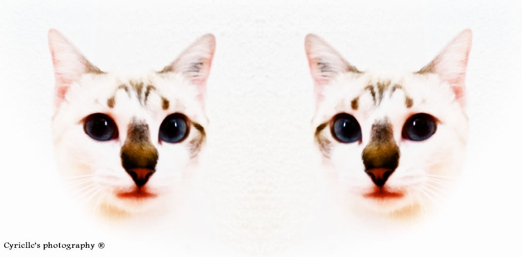 Blue eyes