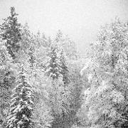 Classement final : 536