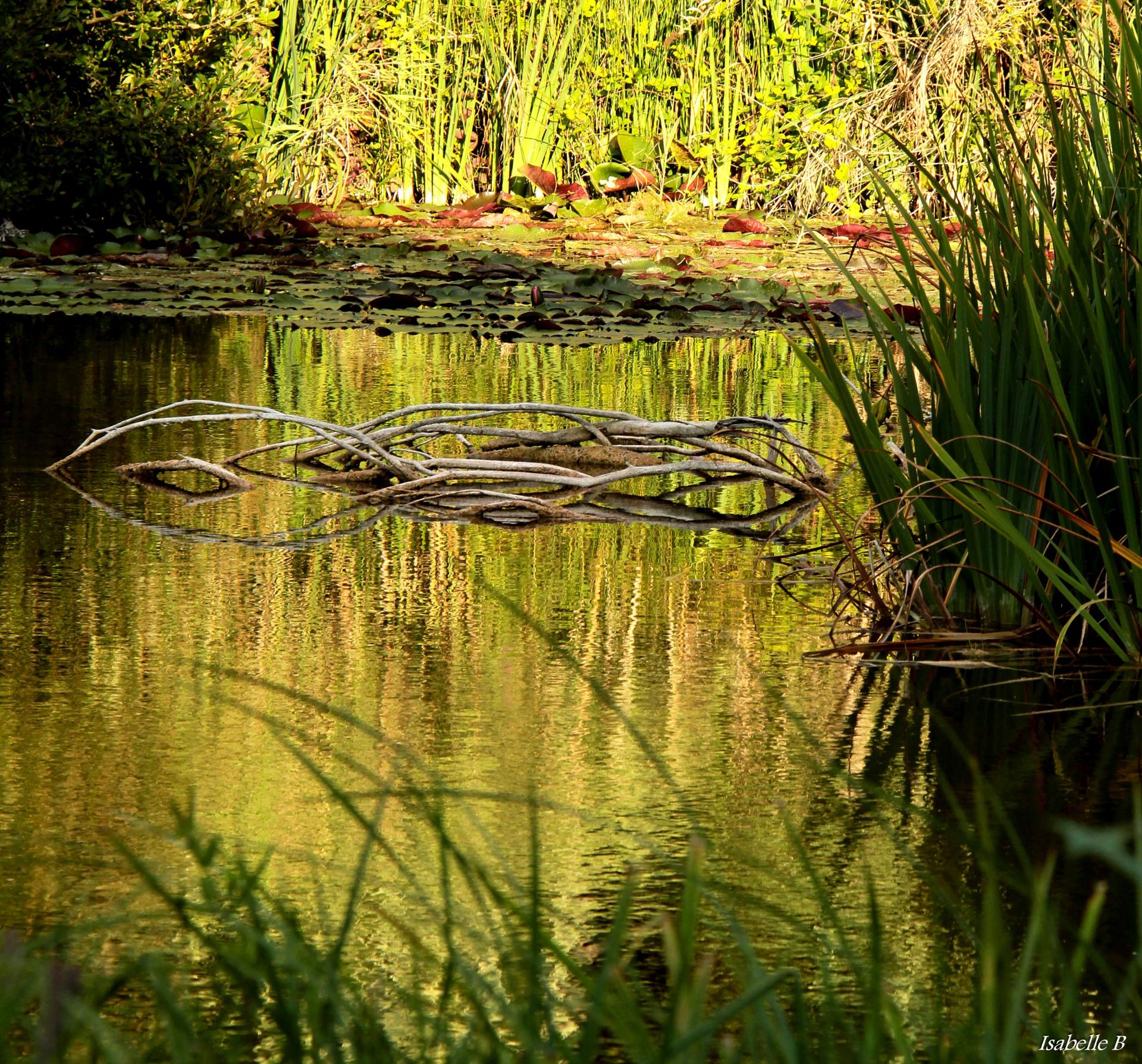 Miroir des âmes