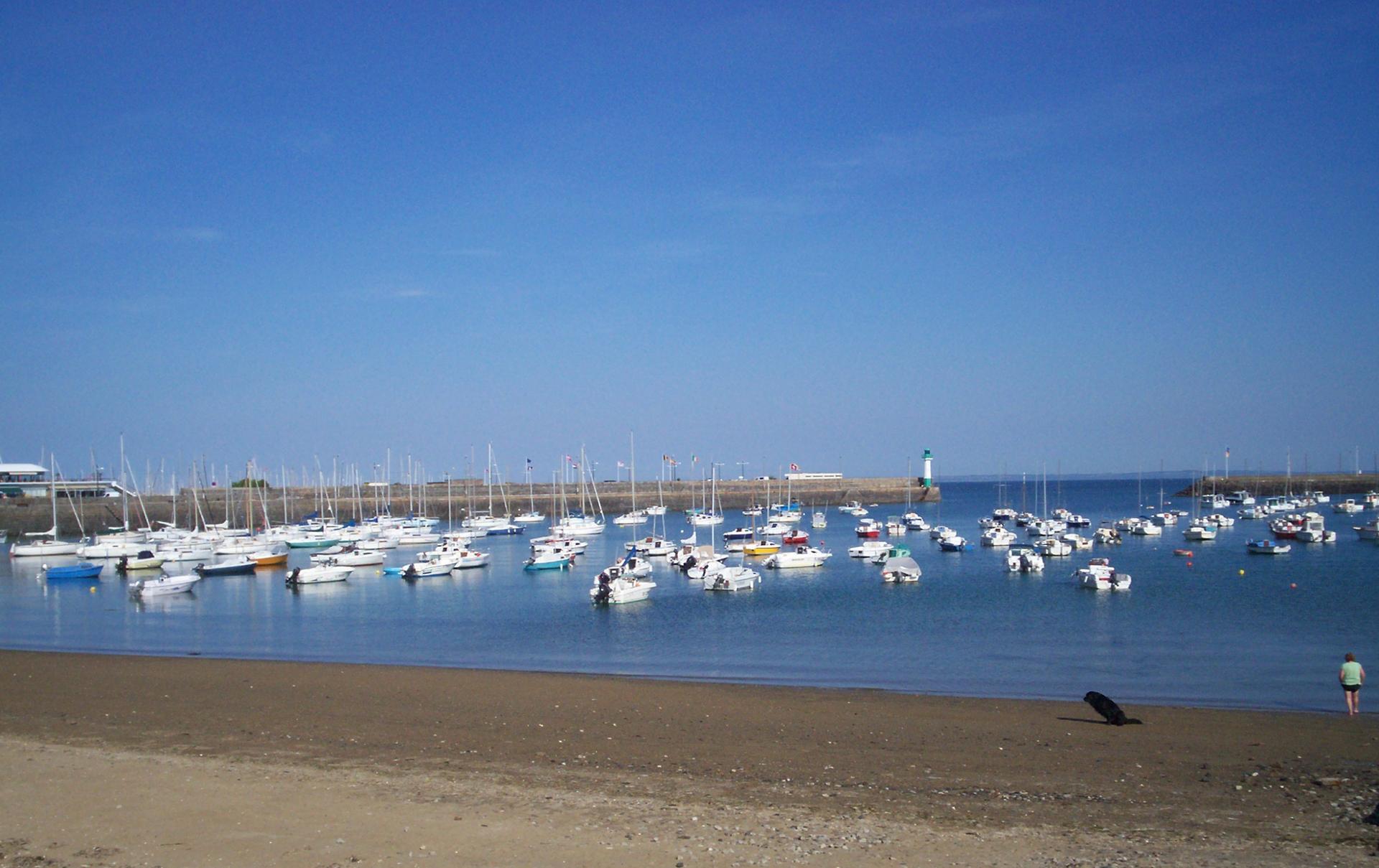 100_2463.jpg