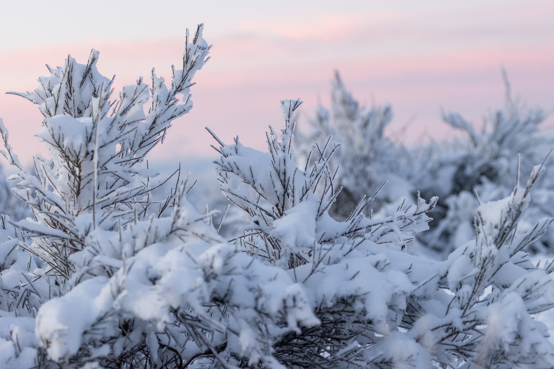 lever de soleil hivernal