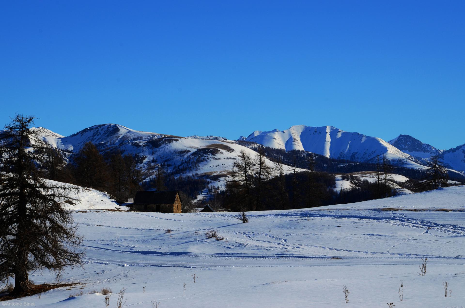 Home of the mountain