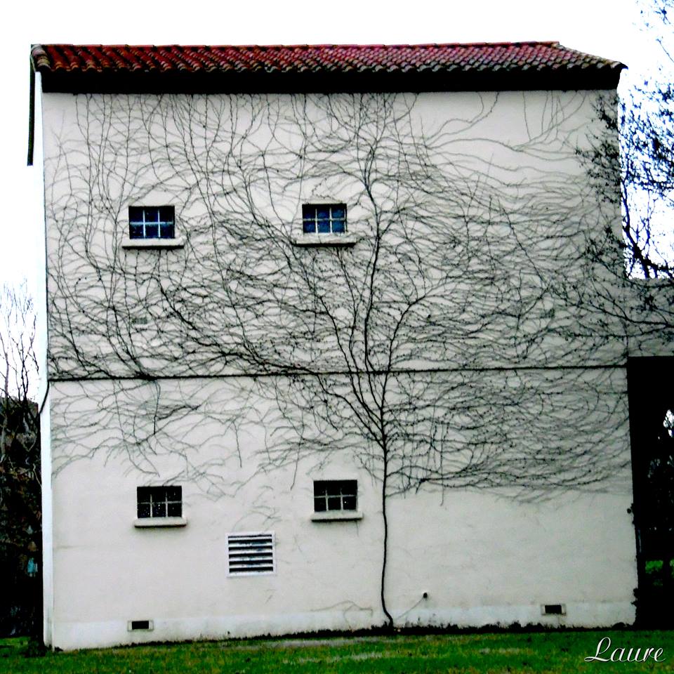 la nature reprend sa place.....