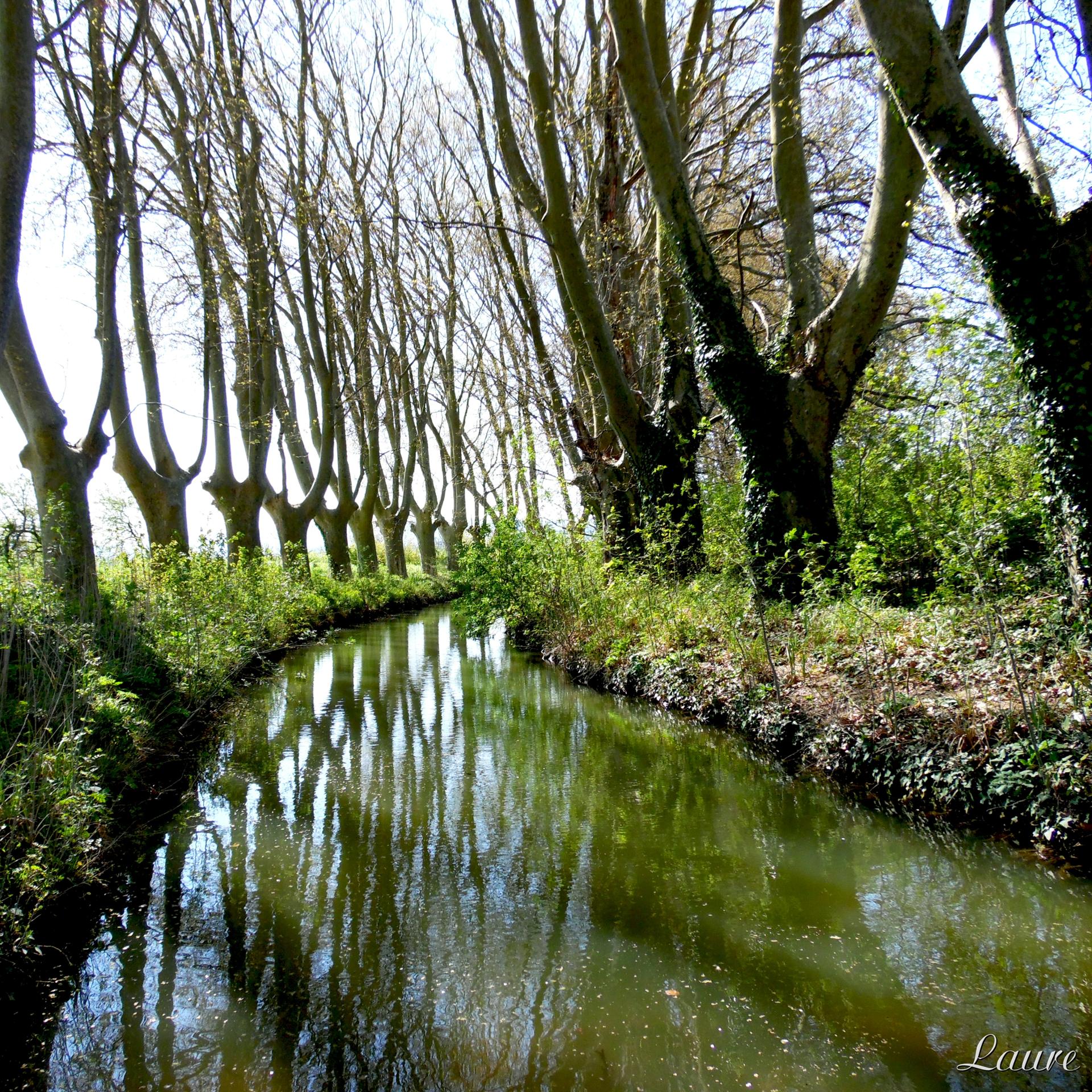 découverte de Trèbes...