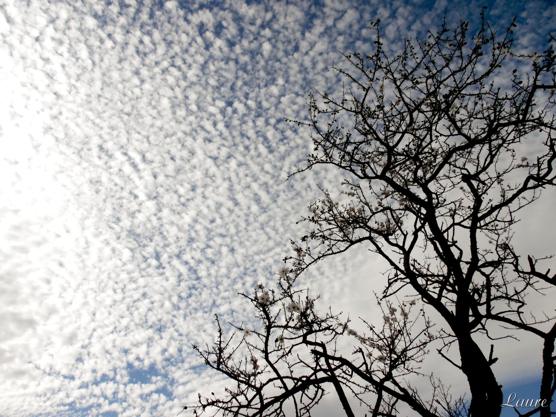 lever la tête et trouver le ciel