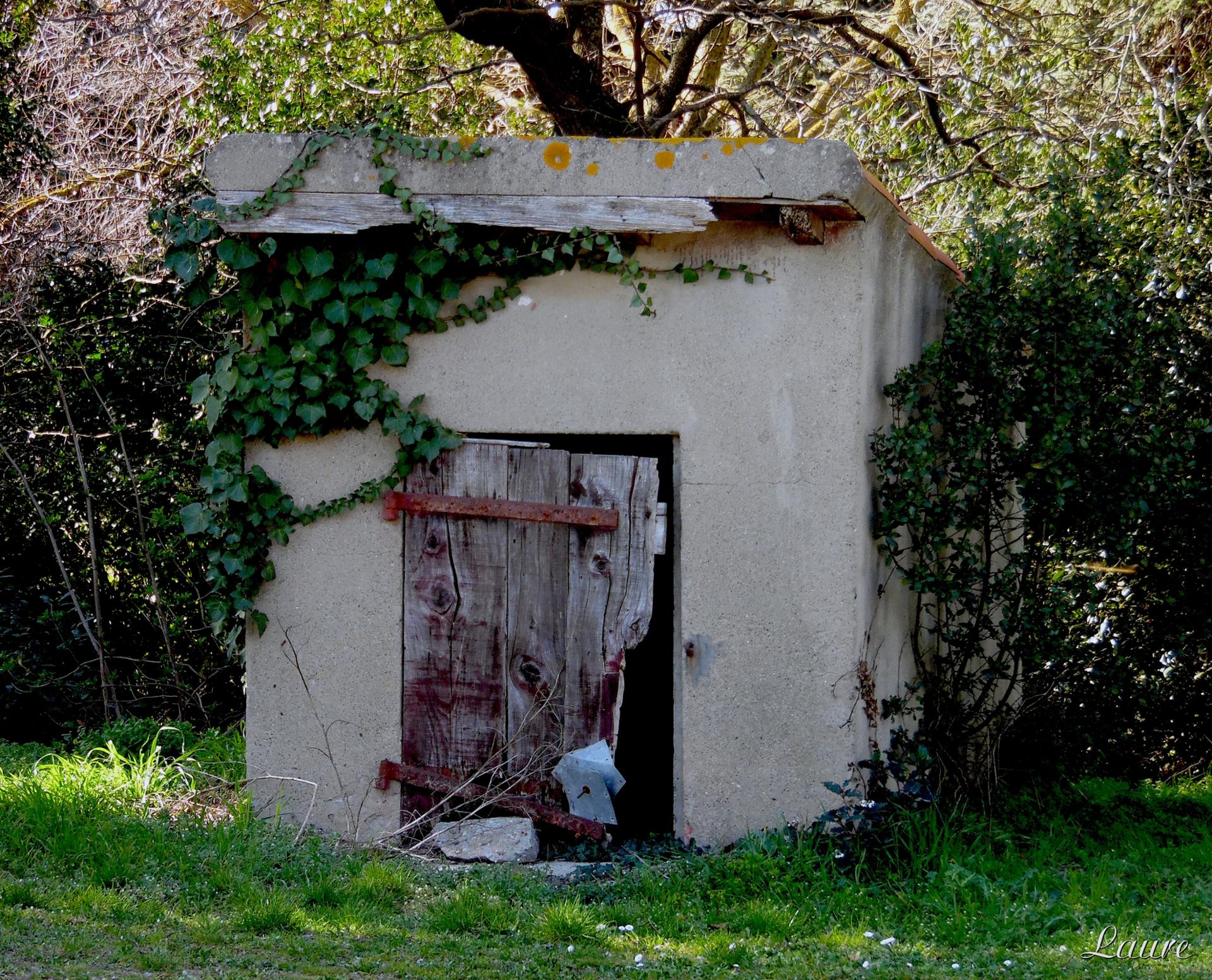 la cabane au fond du jardin