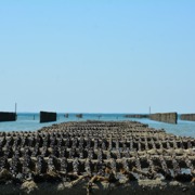 Classement final : 1410