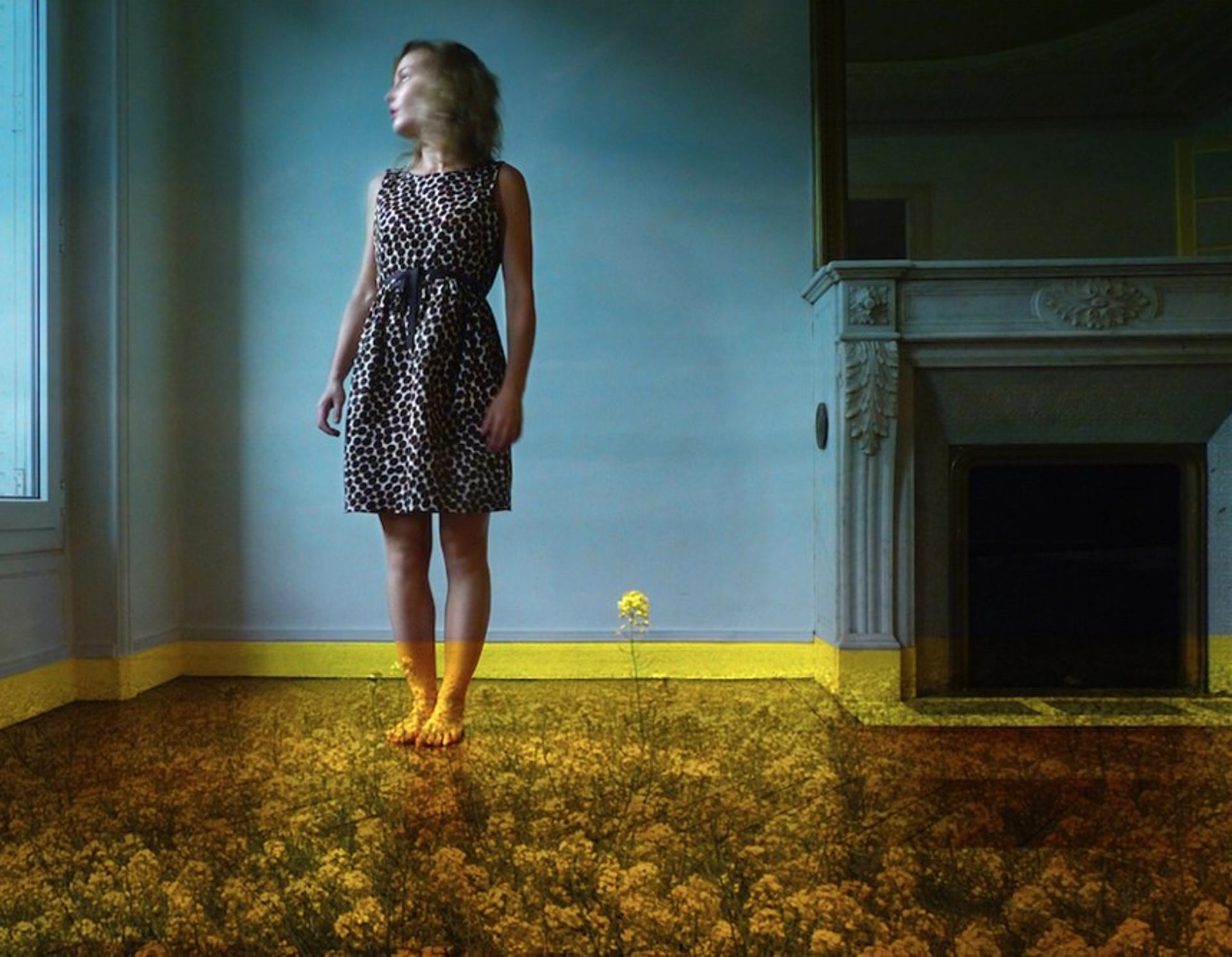 Le jardin des rêves