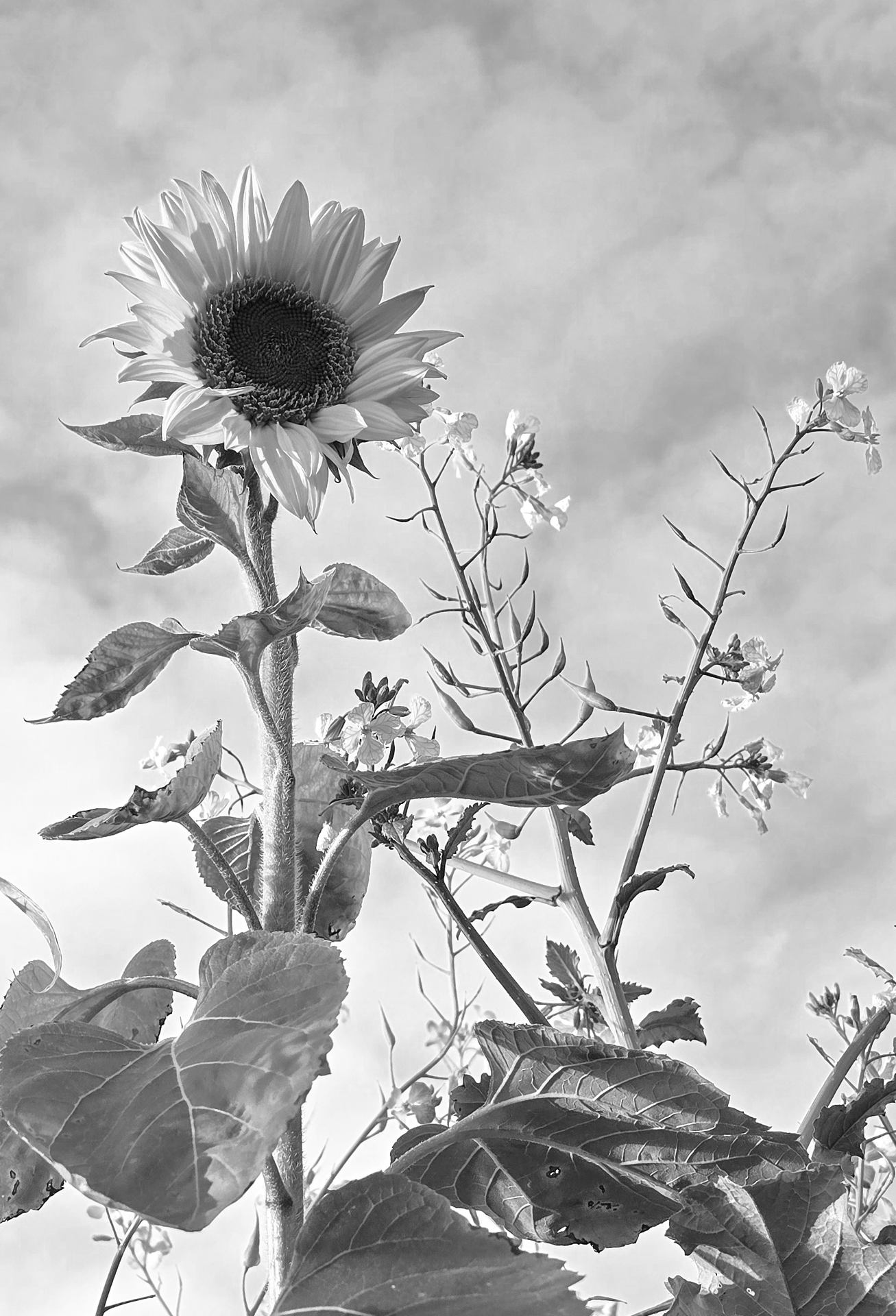 20251102_155006 (1).jpg