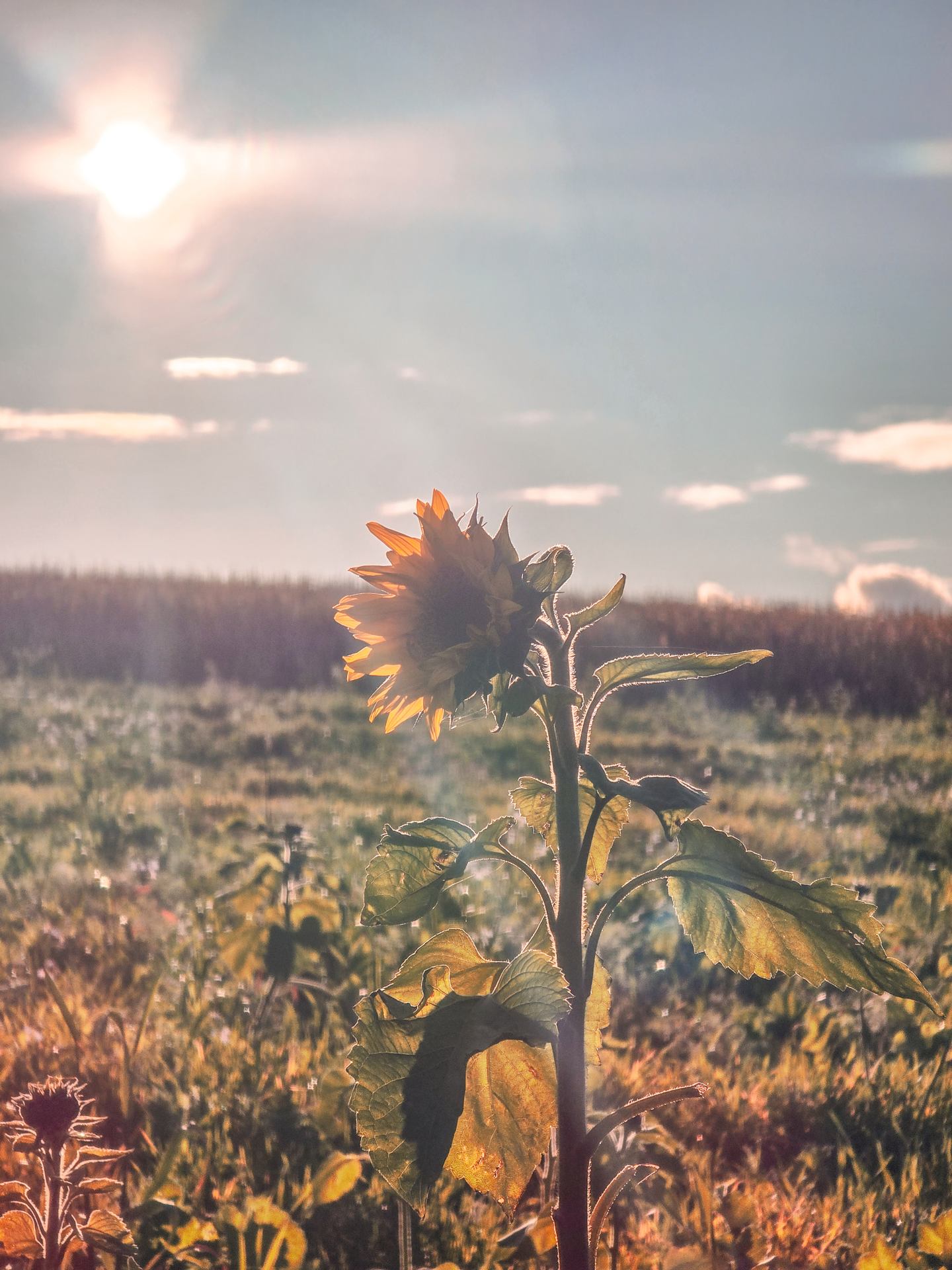 20251102_155657 (1).jpg