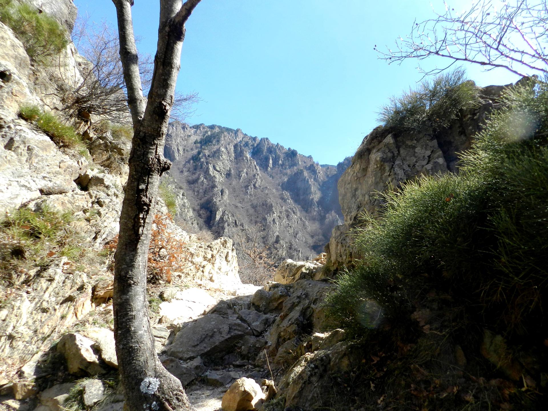 Les pyrénées