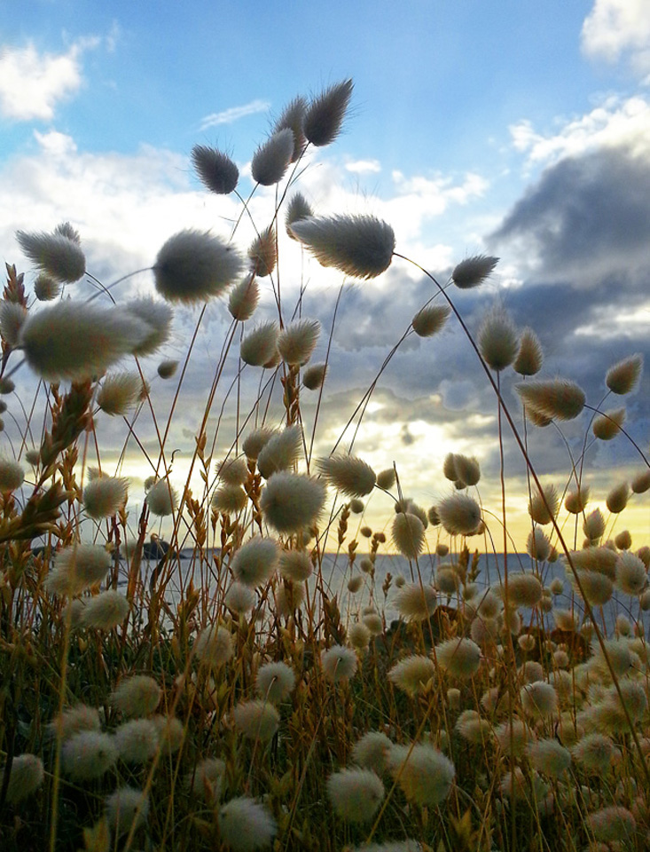 avis-de-neige